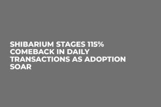 Зростання Shibarium: 115% більше транзакцій та відновлення ціни SHIB