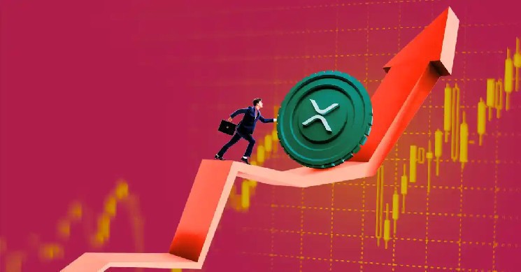XRP та його шлях до $1000: чи можливий цей сценарій?