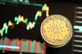 Cardano перевершує популярні акції та криптовалюти за рік: зростання на 71,39%