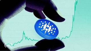 Cardano зростає на 10%: прибуткове постачання сягає двомісячного максимуму