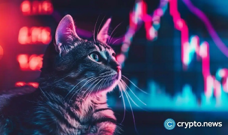 Попкат виходить з консолідації: шлях до $1.04 відкритий!