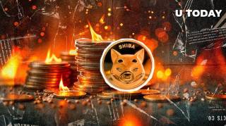 Пожарение токенов SHIB взлетело на 6,858% в условиях роста цены криптовалюты