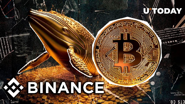 900 BTC покинул Binance: загадочное перемещение китов вызвало спекуляции