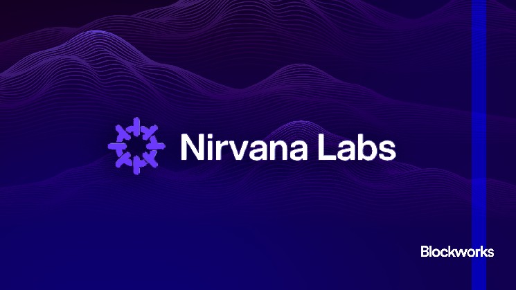Nirvana Labs залучила $6 мільйонів для хмарних технологій у криптовалютному секторі