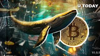 Повернення велетня: активізація 300 BTC після 11 років сплячки