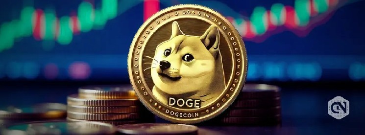 Киты Dogecoin накапливают 800 миллионов DOGE: ждет ли нас падение к $0.15?