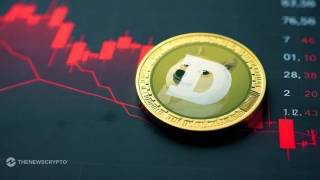 Dogecoin готується до суттєвого зростання: аналітики прогнозують ціну до $0.45