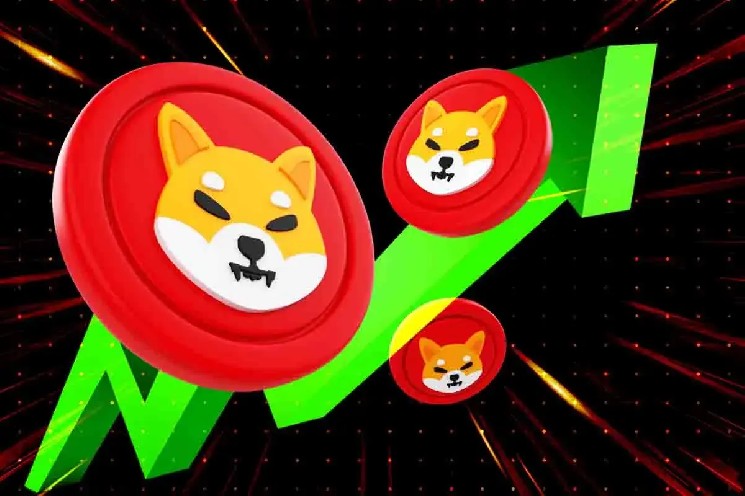 Объем вывода 111.8 миллиардов SHIB: шанс на рост цены Shiba Inu на 108%