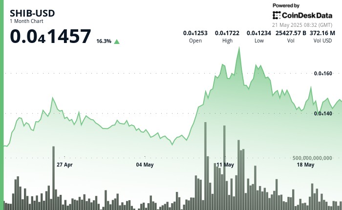 Шиба Ину: Бурный рынок и сигналы для прорыва в условиях колебаний цен