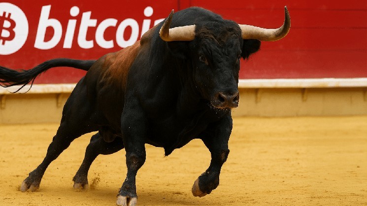 Биткойн на коне: цена достигает 110,730 долларов за монету благодаря спросу и ETF