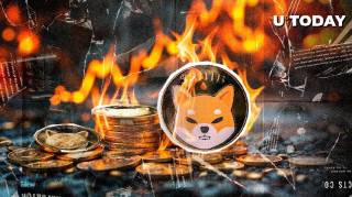 SHIB сжигает 37,9 млн токенов на фоне ценового падения на 10%