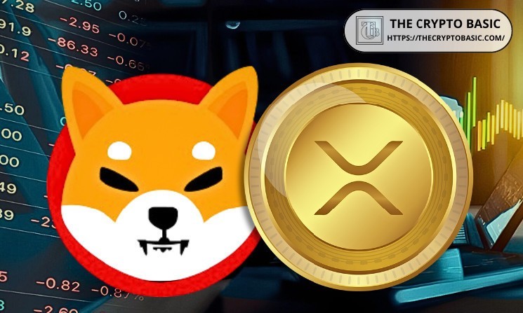 Какую криптовалюту выбрать для инвестиций: Shiba Inu или XRP? Рекомендации от ChatGPT и Google Gemini.