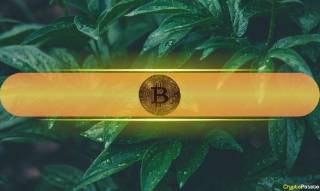 Биткойн может достичь $110К на фоне восстановления крипторынков после решения Трампа о тарифах на ЕС