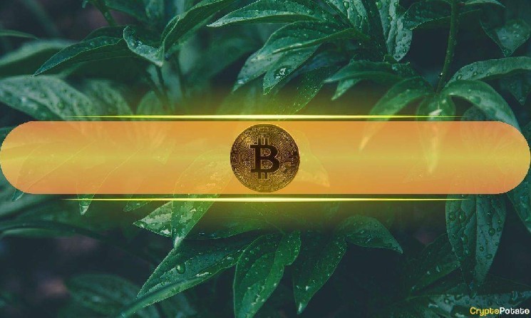 Биткойн может достичь $110К на фоне восстановления крипторынков после решения Трампа о тарифах на ЕС