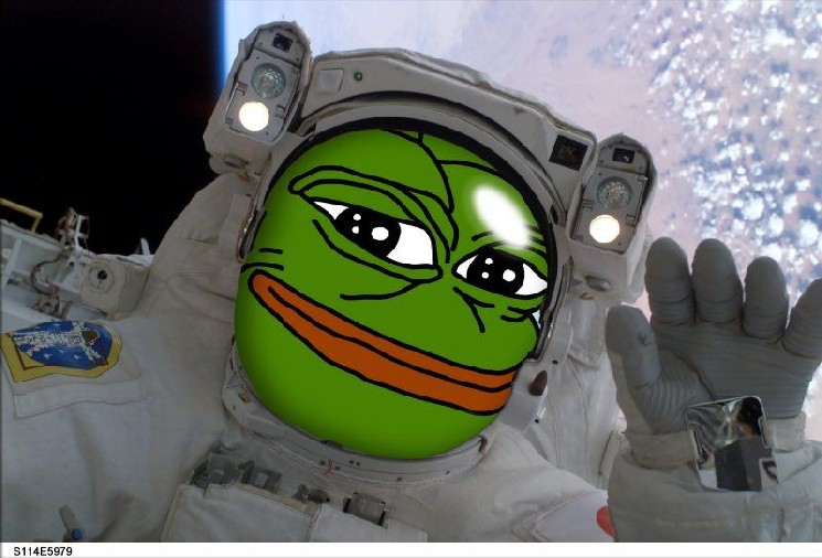 Джеймс Уинн: от миллиарда на биткойне до ставок на Pepe с прибылью в $25 миллионов