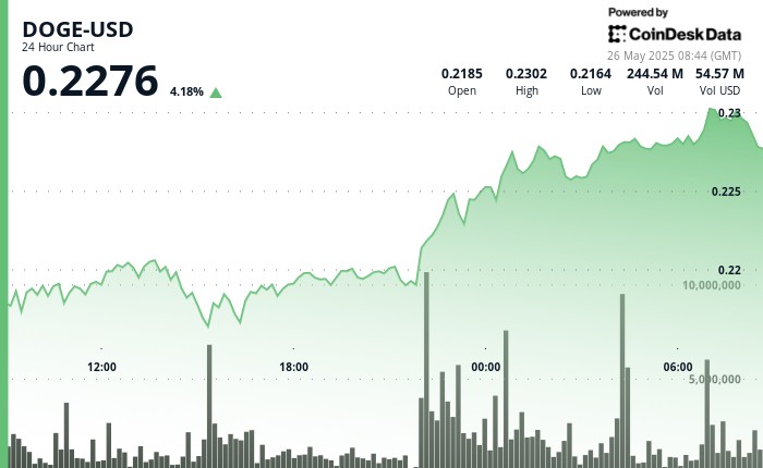 Dogecoin продовжує зростати: ведмежі накопичення сигналізують про впевненість інвесторів