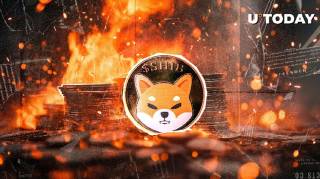 Массированное сжигание SHIB поднимает темп на 2416% и способствует росту цены на 4.8%