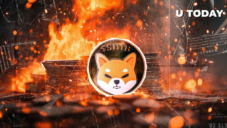 Массированное сжигание SHIB поднимает темп на 2416% и способствует росту цены на 4.8%