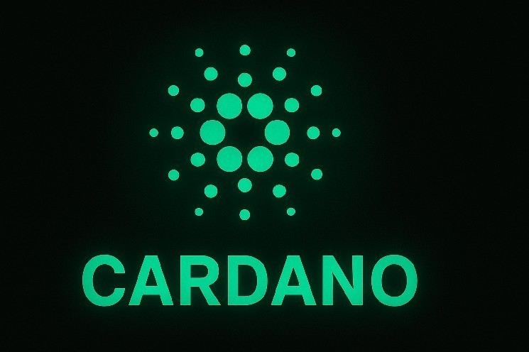 Cardano: Прорыв в масштабируемости и партнерство с Аргентиной