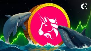 Кит Uniswap знову активний: покупка на $4 мільйони та 10% зростання ціни токенів UNI