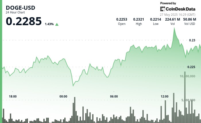 Догекоін зростає на 5.5%, завдяки накопиченню китів та бульбашковій тенденції на ринку