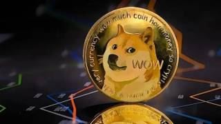 Dogecoin під тиском: чи витримає підтримку $0.2200?