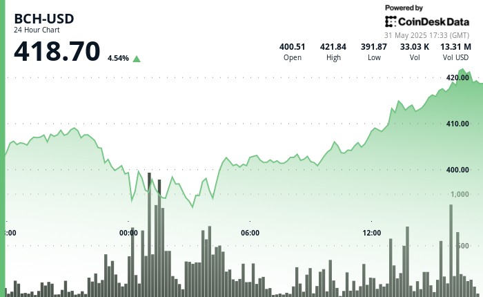 Біткойн Кеш: Відновлення на 6.4% та захист ключової підтримки на фоні нестабільності ринку