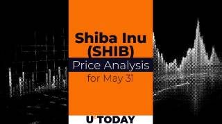 Ціна SHIB знизилась на 5,21%: можливі перспективи зростання та підтримки