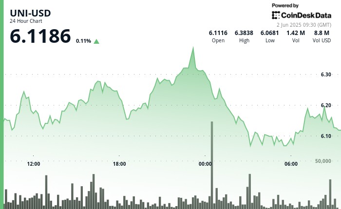 UNI намагається утримати підтримку $6 amid економічних тривог та волатильності ринку
