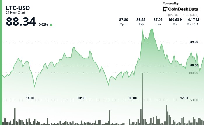 Лайткойн протистоїть ринковому тиску, зберігаючи підтримку на рівні $87.50