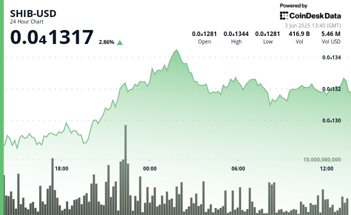 Шиба Ину (SHIB): Поддержка укреплена, но импульса не хватает для уверенного роста