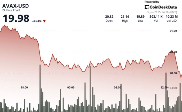 AVAX на грани: колебания цен и медвежье давление на токен Avalanche