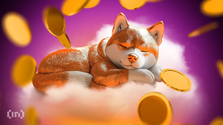 Инвестиции в Dogecoin в 2025 году: стоит ли входить на рынок?