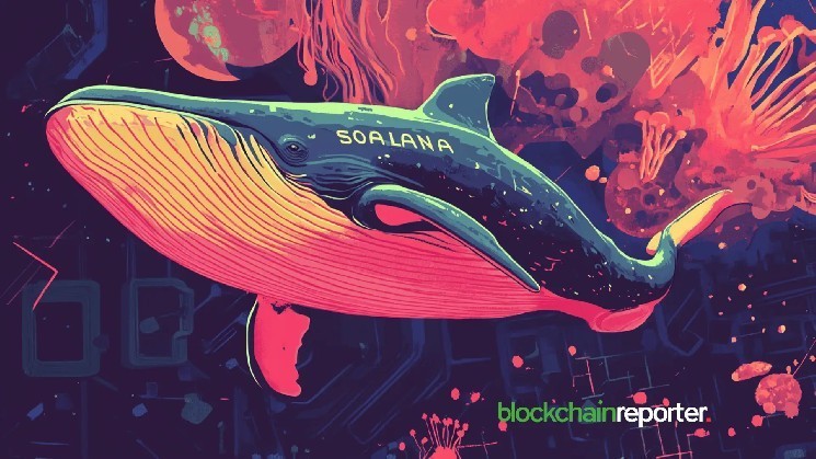 Кит Solana ZkSjMB заработал $649K на продаже 44 тыс. SOL и получил $64K за взносы в стекинг