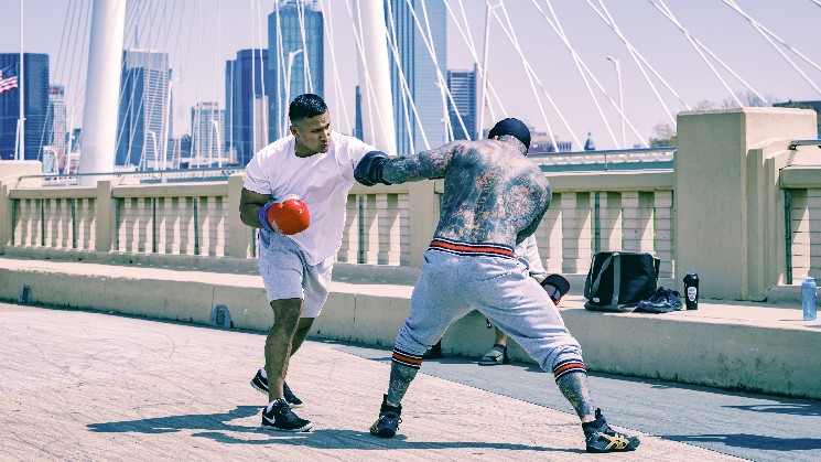 Конфликт Трампа и Маска обрушил криптовалюты: убытки на рынке превысили 1 миллиард долларов