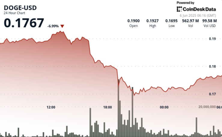 Dogecoin упал на 12,5% на фоне конфликта Трампа и Маска: что ждёт криптовалюту?