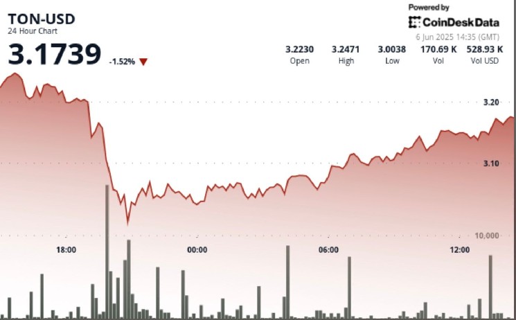 Тонкойн (TON) знаходить підтримку на $3.00 amid волатильності ринку криптовалют