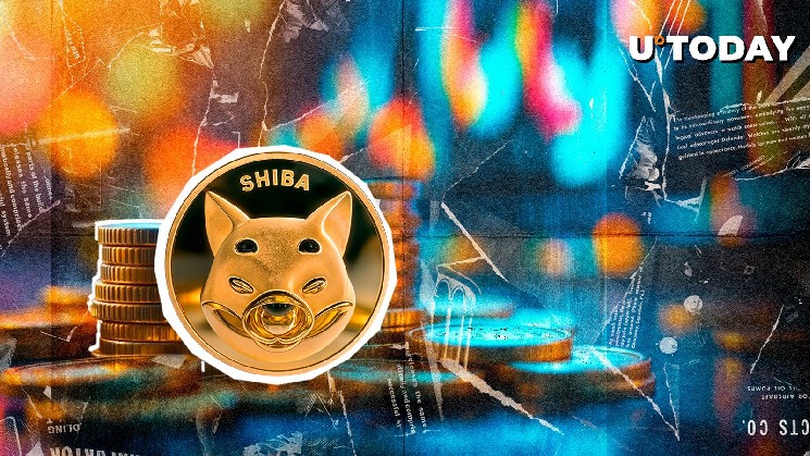 31,6 мільйона доларів у Shiba Inu: великий переказ до Coinbase змінив ринок