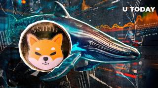 Shiba Inu: Чи свідчить невеликий спад про стабільність на ринку криптовалют?