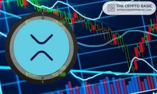 Прибутки інвесторів у XRP: прогнози до 2050 року