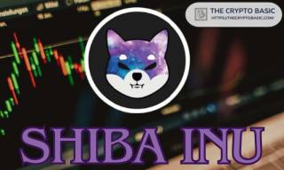 Майбутнє інвестицій у Shiba Inu: як $1,000 може перетворитися на мільйони до 2040 та 2050 року?