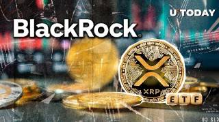 BlackRock может подать заявку на ETF для XRP: что это значит для одобрения?