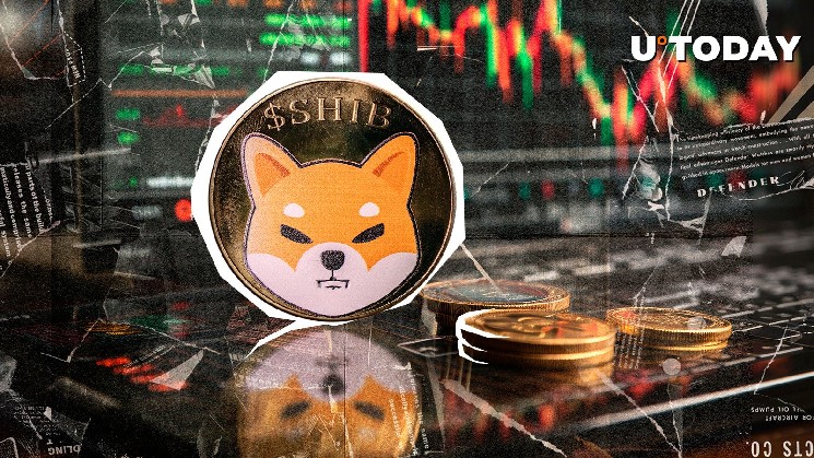 Shiba Inu под давлением: Toncoin и Hedera сжимают пространство для роста мем-монеты