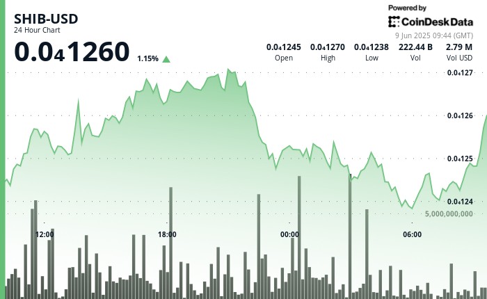 Шиба Ину (SHIB): Нисходящий тренд и снижение уровня сжигания угрожают дефляционной токеномике