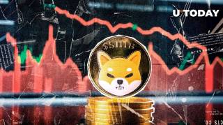 Зниження активності китів Shiba Inu: що стоїть за 91% падіння транзакцій?