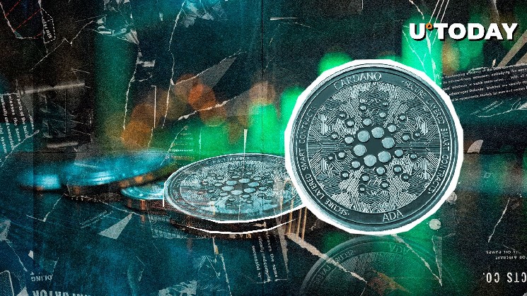 Киты Cardano накапливают 120 миллионов ADA: предвестник роста?