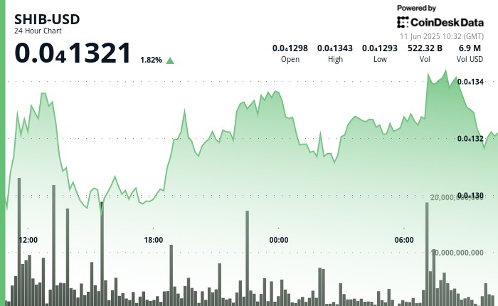 Снижение транзакций китов Shiba Inu на фоне роста инфляции в США: бычьи инвесторы сохраняют надежду на рынок