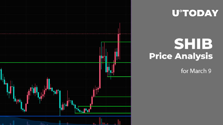Прогноз ціни SHIB на 9 березня: відскок чи далі падіння?