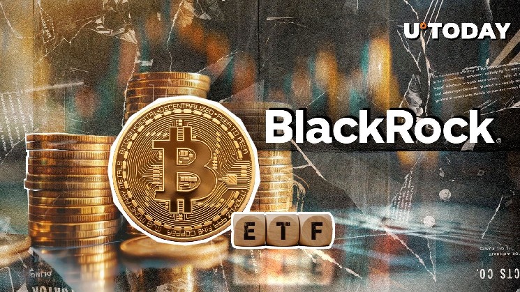 IBIT от BlackRock вошел в топ-20 ETF, подтверждая рост интереса институциональных инвесторов к биткойну