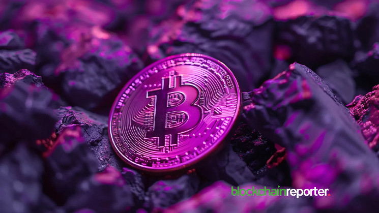 Накопичення Bitcoin у ETF може вплинути на ціну